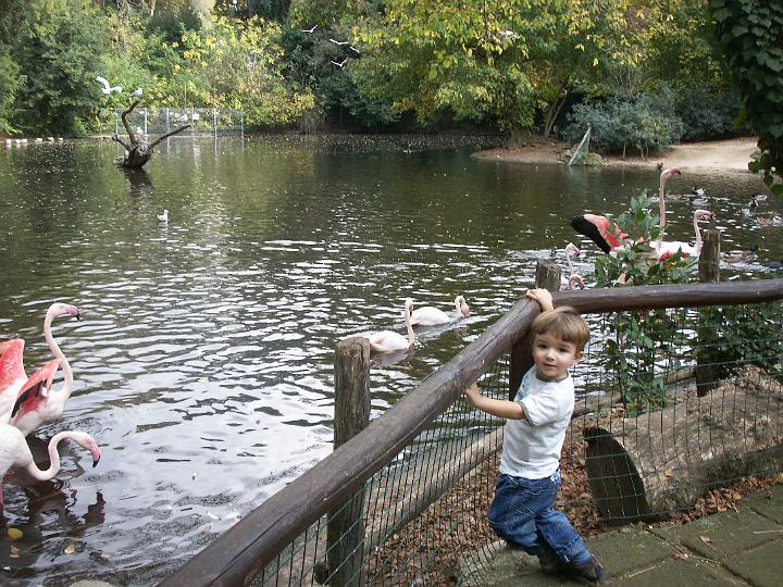 2008-10-25_15-59_15.JPG